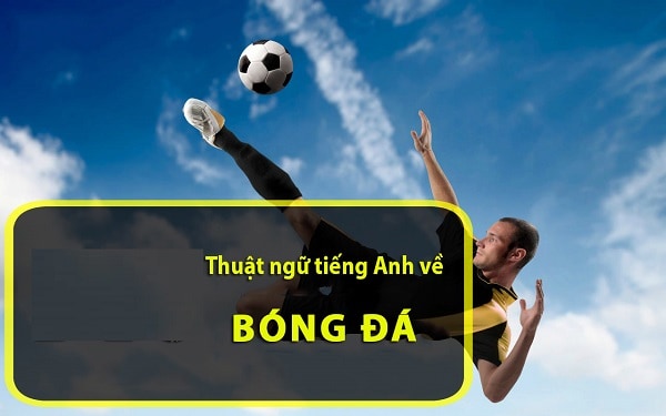 tong-hop-cac-thuat-ngu-tieng-anh-nguoi-choi-can-biet-khi-soi-keo-bong-da