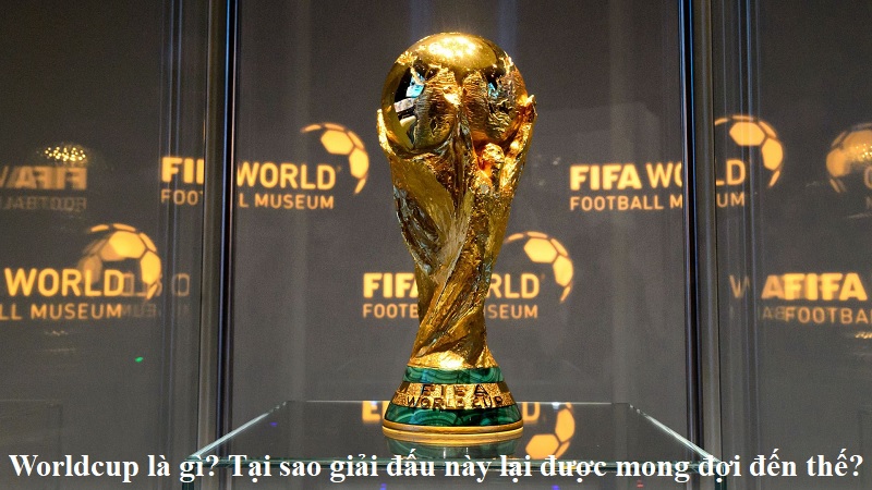 worldcup-la-gi-tai-sao-giai-dau-nay-lai-duoc-mong-doi-den-the