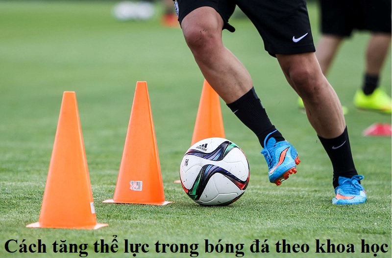 cach-tang-the-luc-trong-bong-da-theo-khoa-hoc