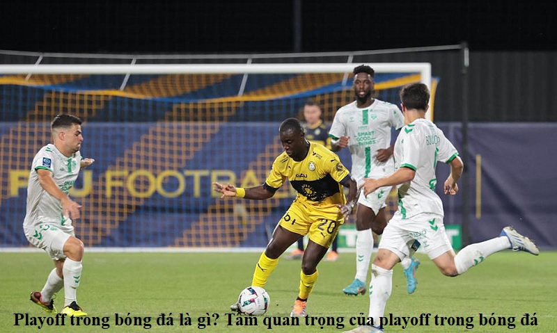 playoff-trong-bong-da-la-gi-tam-quan-trong-cua-playoff-trong-bong-da